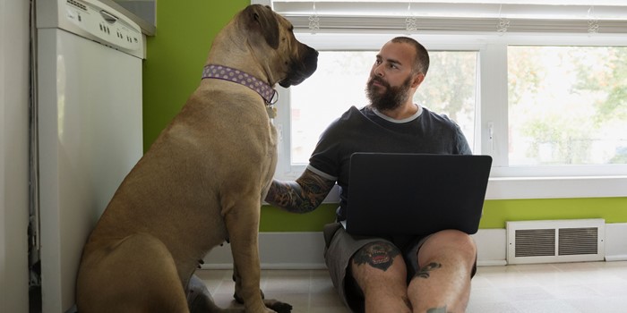 Man With Laptop Petting Dog On Kitchen Floor