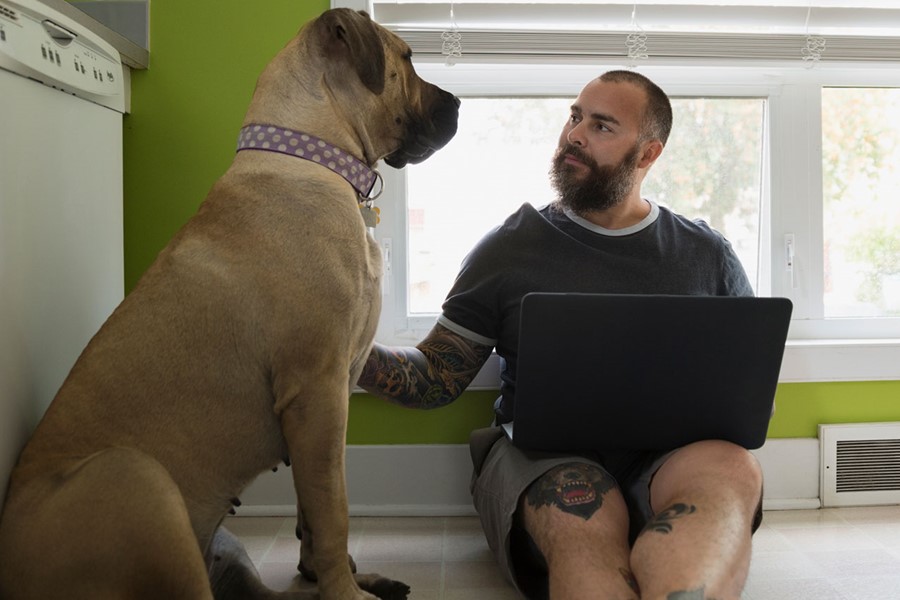 Man With Laptop Petting Dog On Kitchen Floor